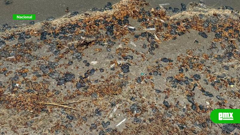 EMX-A-dos-meses-del-derrame,-recala-crudo-y-sargazo-en-playas-de-Coatzacoalcos