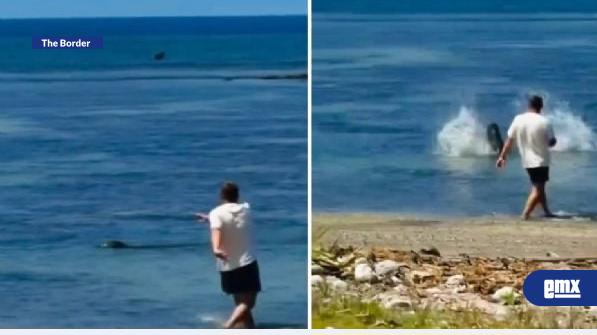 EMX-Arrestan-a-turista-por-lanzar-roca-a-la-cabeza-de-una-foca-en-Hawái