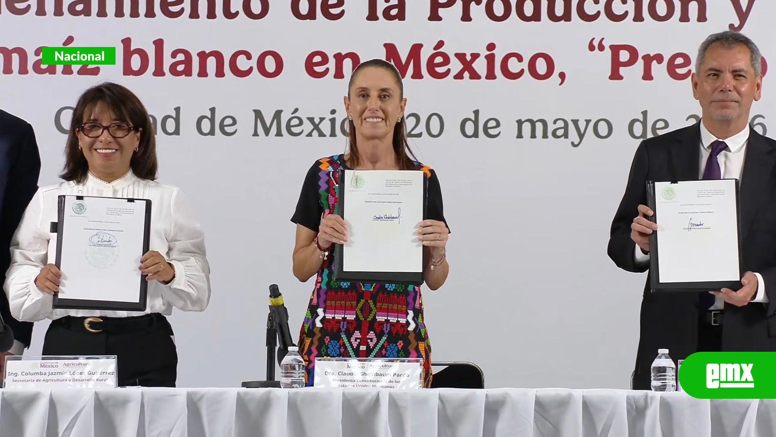 EMX-Presentan-sistema-de-ordenamiento-del-maíz-blanco-para-garantizar-precio-justo