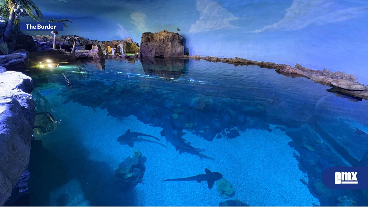 EMX-Shark-Encounter-reabre-sus-puertas-en-SeaWorld-San-Diego-este-22-de-mayo