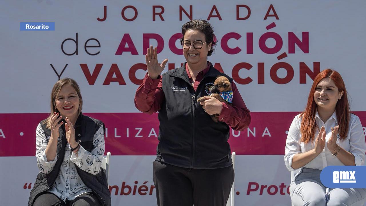 EMX-Realizan-feria-de-adopción-y-vacunación-en-Playas-de-Rosarito