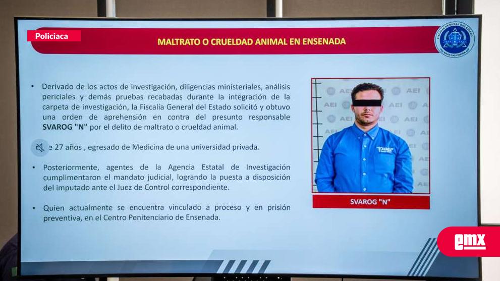 EMX-Investigan-caso-de-maltrato-animal-en-Ensenada;-imputado-permanece-vinculado-a-proceso