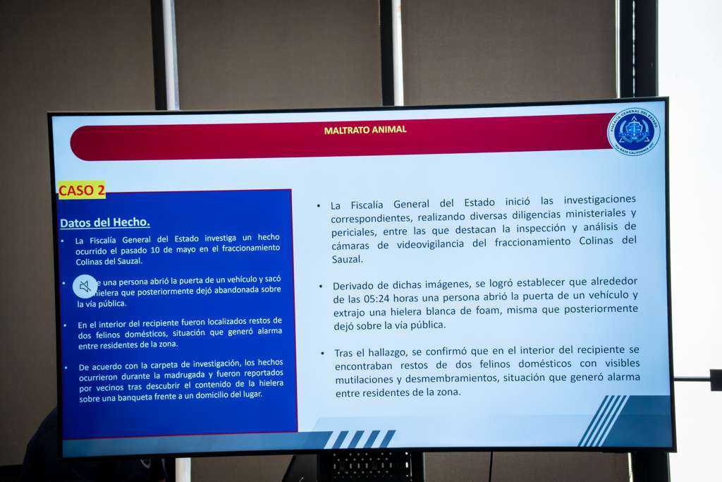First slide