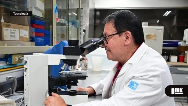 EMX-Instituto-de-Nutrición-investiga-veneno-del-alacrán-para-combatir-la-tuberculosis