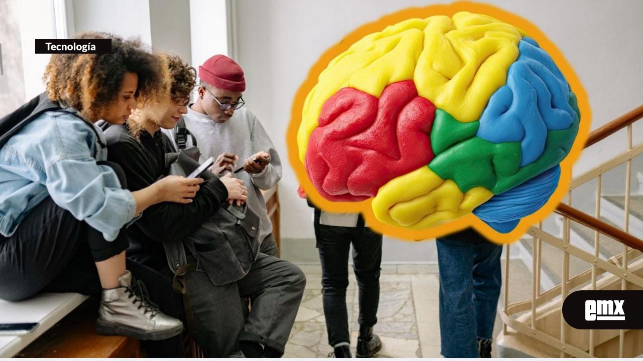 EMX-Estudio-sugiere-que-el-cerebro-alcanza-su-madurez-cerca-de-los-32-años