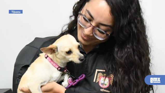EMX-CAM-recibe-cadáveres-de-mascotas