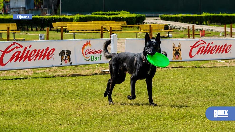 EMX-Lanza-Caliente-campaña-masiva-de-vacunación-antirrábica-para-proteger-a-las-mascotas
