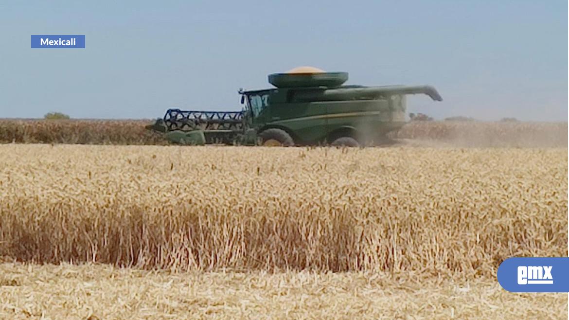 EMX-Avanzan-negociaciones-entre-productores-del-campo-y-gobierno-federal