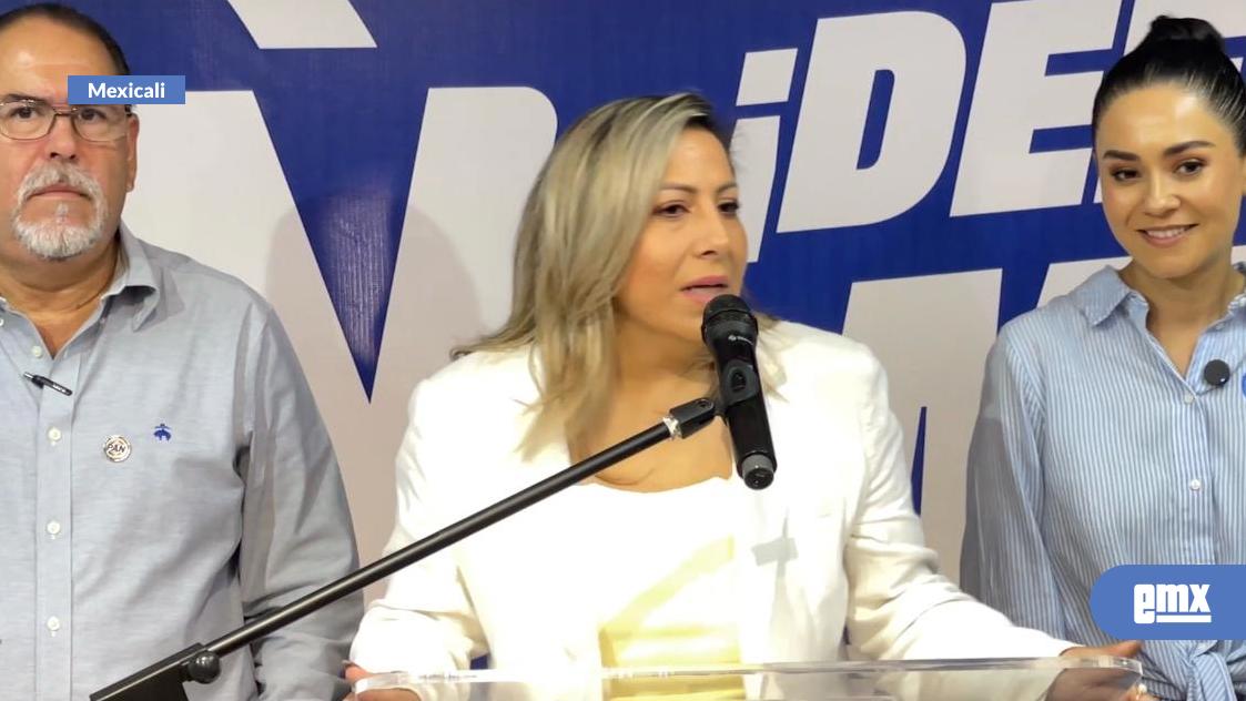 EMX-Minimiza-PAN-actos-de-campaña-del-diputado-Diego-Ibarra
