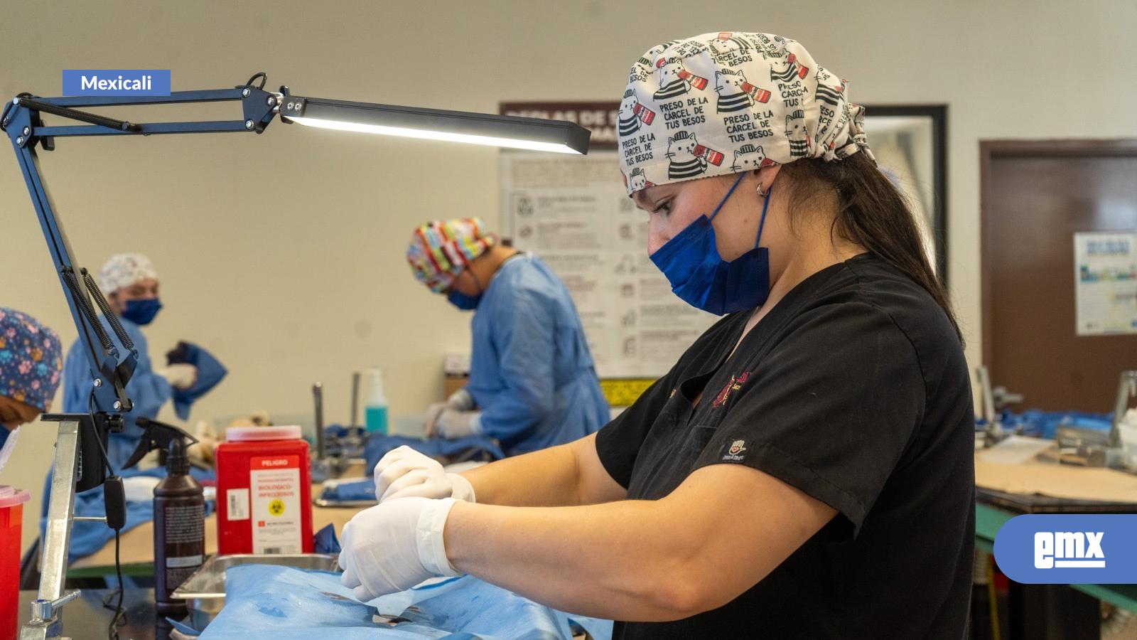 EMX-Esterilizan-a-más-de-9-mil-mascotas-en-BC