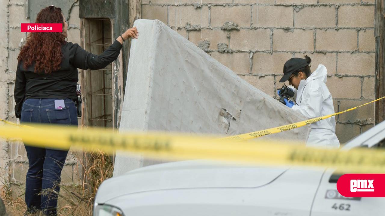 EMX-Hallan-dos-cuerpos-con-huellas-de-violencia-en-un-lote-baldío-de-la-colonia-Alemán