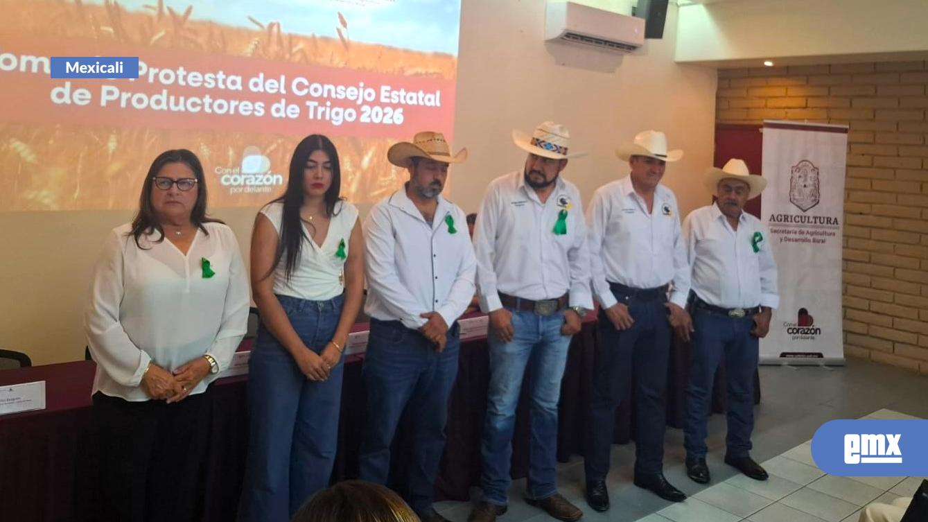 EMX-Reeligen-a-Horacio-Gómez-como-presidente-del-Consejo-de-Productores-del-Trigo-BC