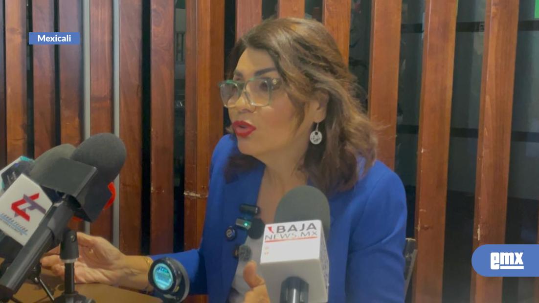 EMX-Propone-diputada-cambiar-concepto-de-repatriados-por-migrantes-en-retorno