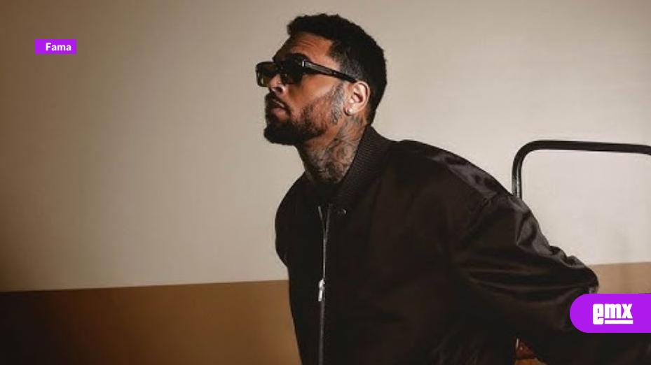 EMX-Chris-Brown-deberá-pagar-13-millones-de-dólares-tras-ataque-de-su-perro-a-empleada