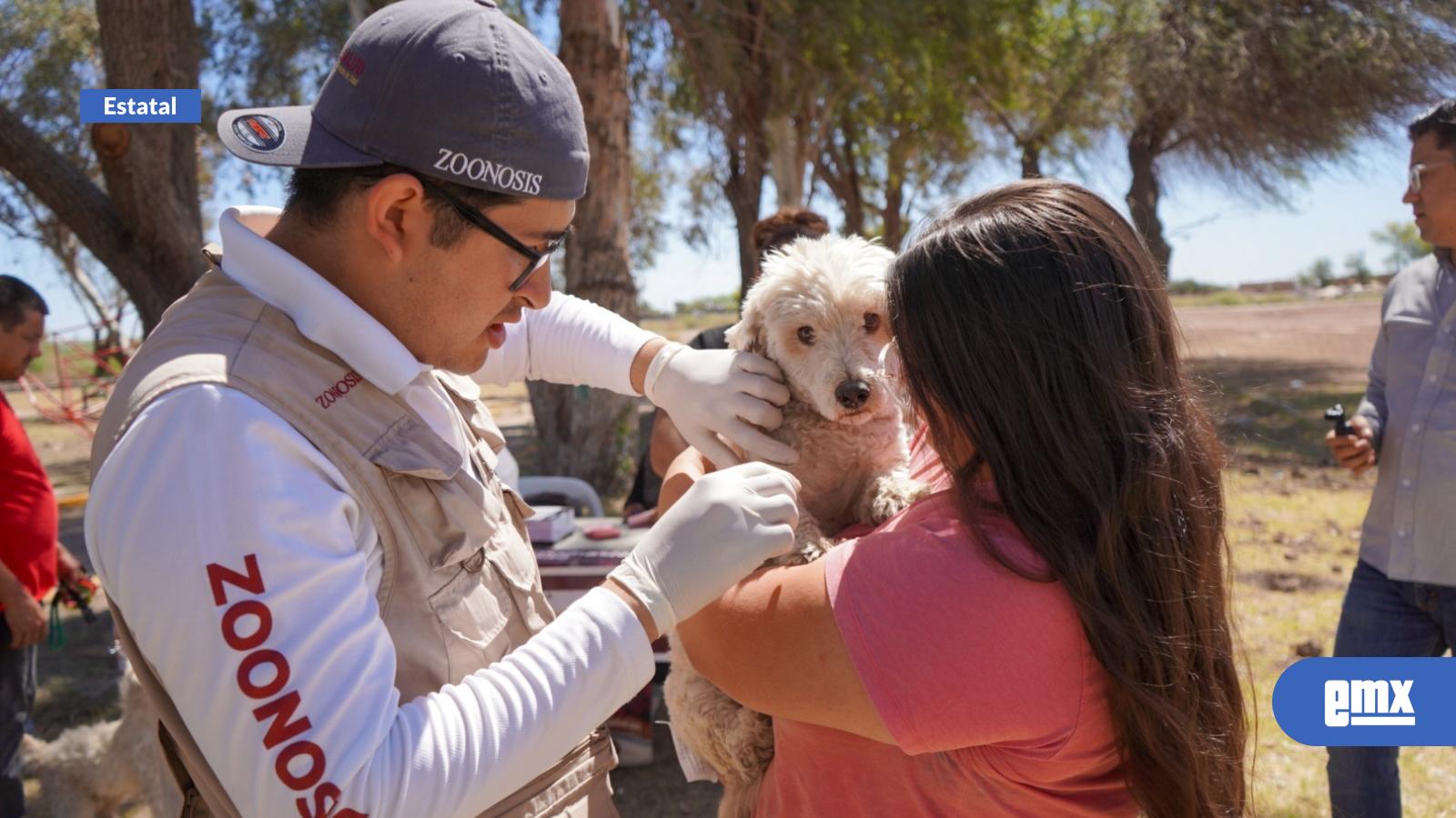 EMX-Durante-2025-se-vacunaron-a-287-mil-mascotas-en-BC