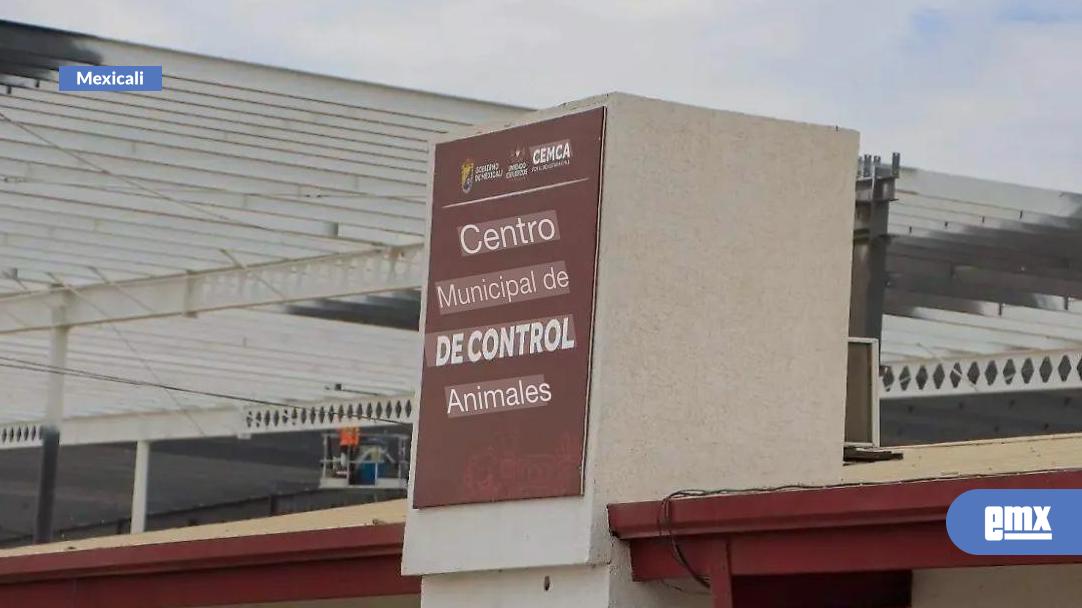 EMX-Exige-Congreso-a-los-ayuntamientos-rendir-cuentas-sobre-Cemcas
