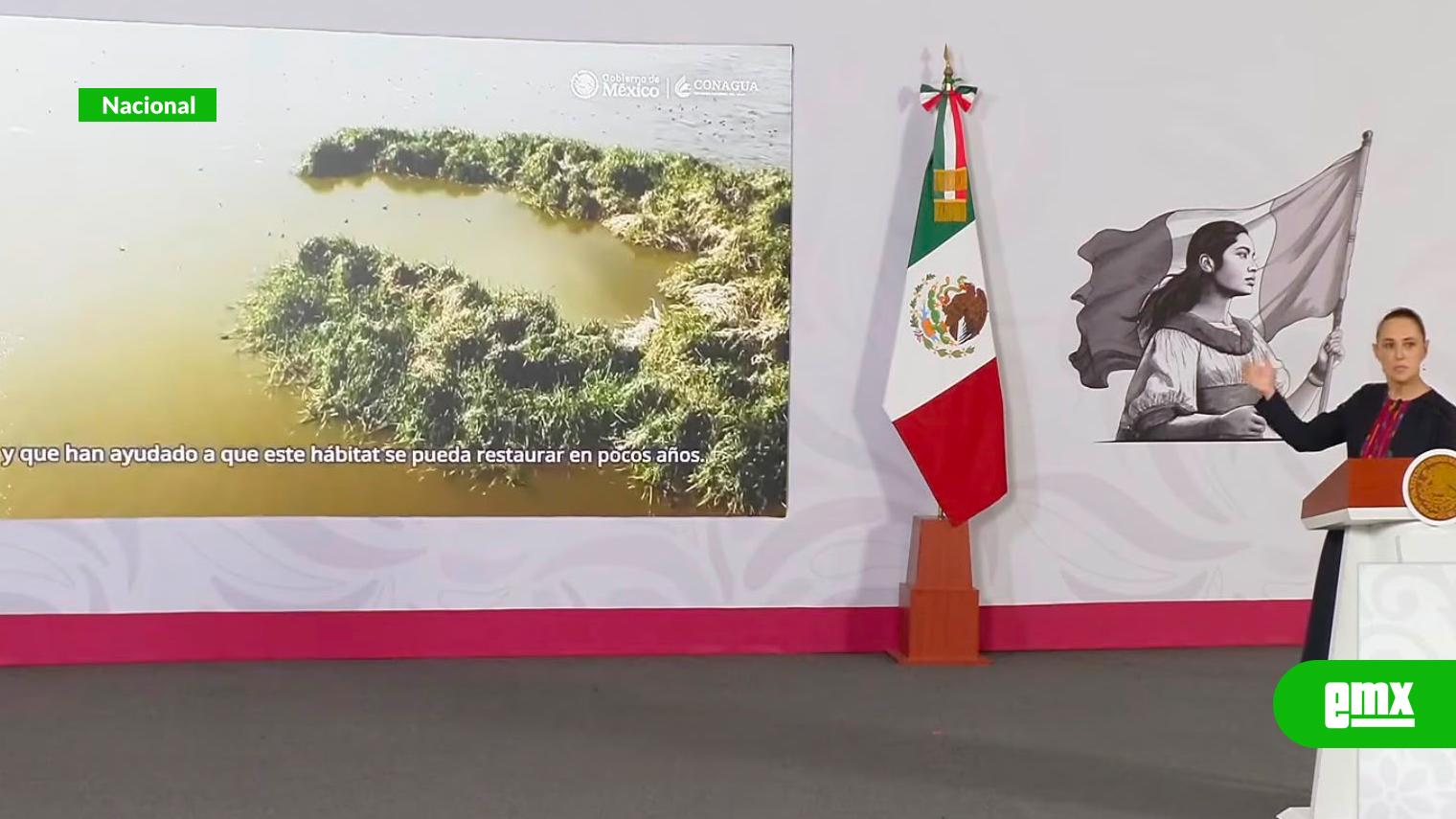 EMX-Regreso-de-más-de-500-especies-confirma-valor-ecológico-de-Texcoco:-Sheinbaum