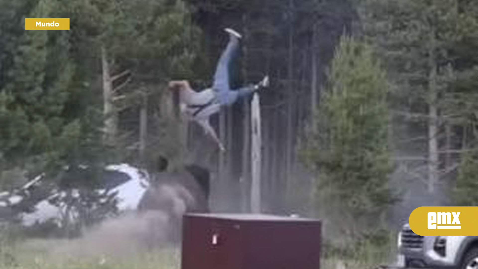 EMX-Identifican-a-hombre-embestido-por-bisonte-en-Yellowstone