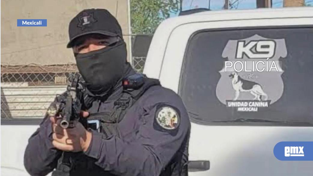 EMX-Van-20-policias-de-Mexicali-cesados-de-sus-funciones:-Sindicatura