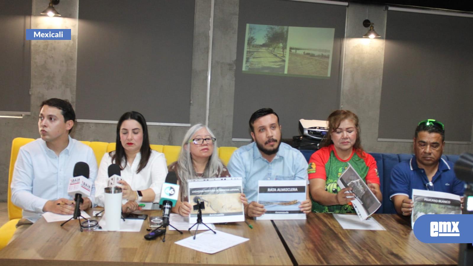 EMX-Cabeza-Ambientalistas-piden-protección-para-Sistema-lagunar
