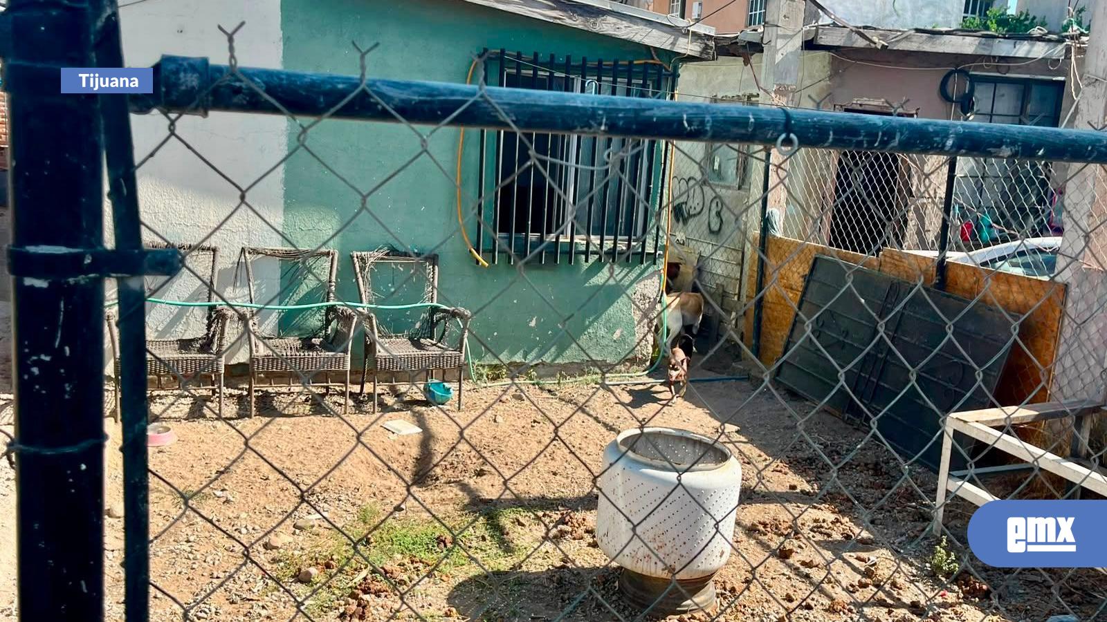 EMX-FGE-catea-inmueble-para-salvar-a-caninos-enfermos-y-desnutridos