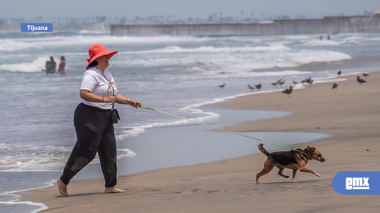 EMX-En el Día Internacional del Perro, amantes de los caninos destacan la importancia de pasear a las mascotas