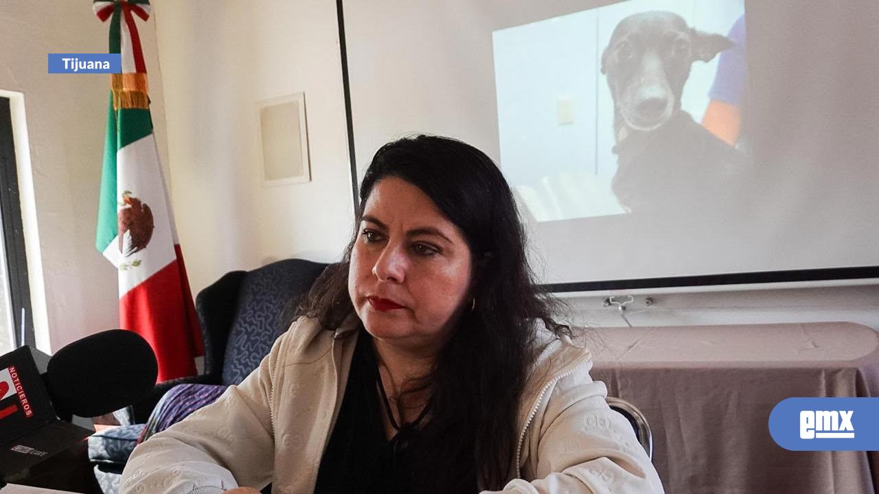 EMX-Buscan-hogar-para-perros-rescatados-tras-cateo-en-la-Zona-Centro;-piden-impulsar-su-adopción