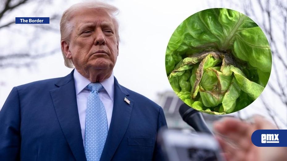 EMX-Amenaza-Trump-con-imponer-'gran-arancel'-a-México-por-lechugas-contaminadas