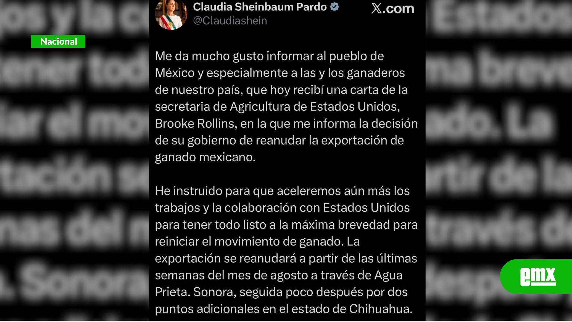 EMX-EU-reanudará-exportación-de-ganado-mexicano-tras-acuerdo-sanitario