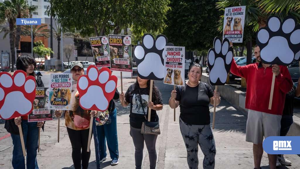 EMX-“Los-perros-no-son-contenido,-son-familia”;-activistas-protestan-para-exigir-información-sobre-dos-perros-adoptados-por-influencer