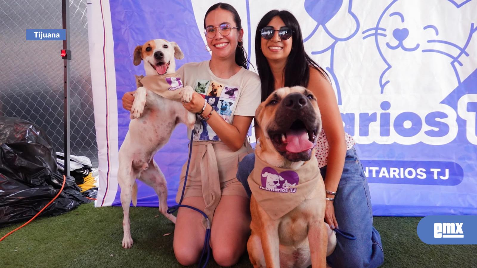 EMX-Hogares-temporales,-una-alternativa-ante-la-saturación-de-refugios-para-animales-en-Tijuana