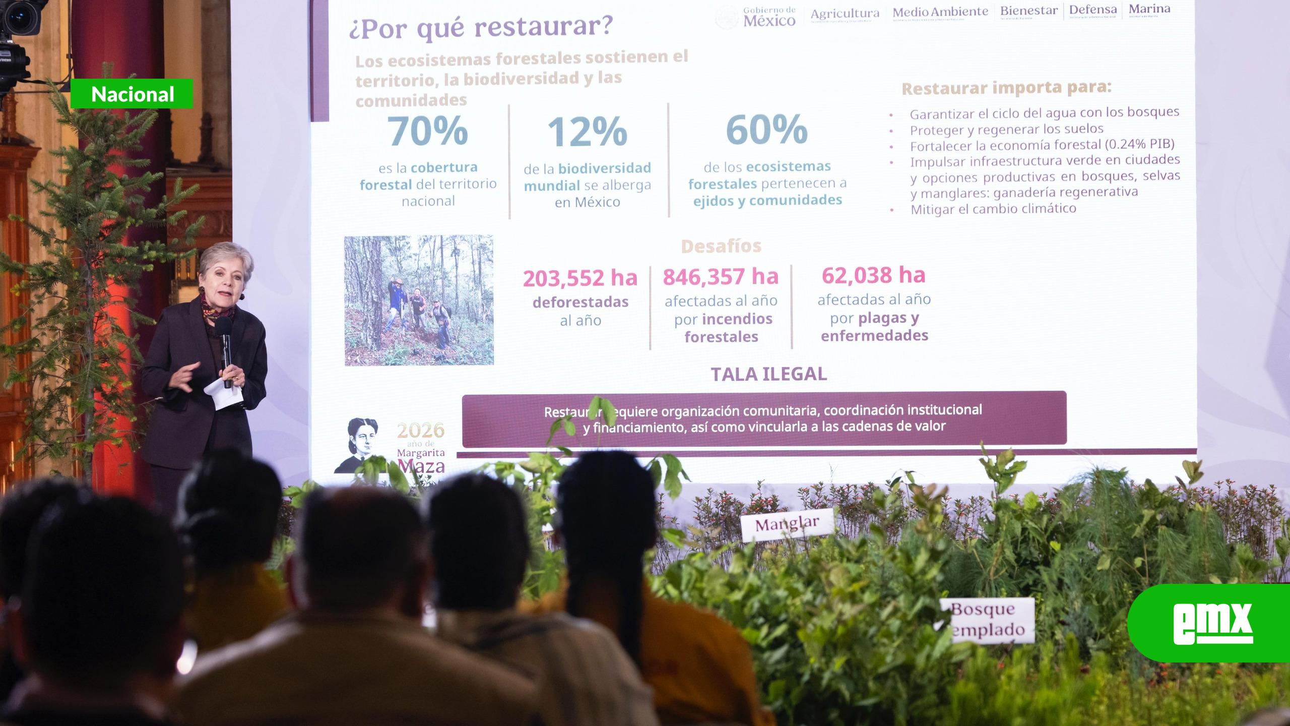 EMX-Domingo-habrá-Jornada-Nacional-de-Reforestación-con-la-meta-de-plantar-más-de-6.6-millones-de-árboles-y-plantas