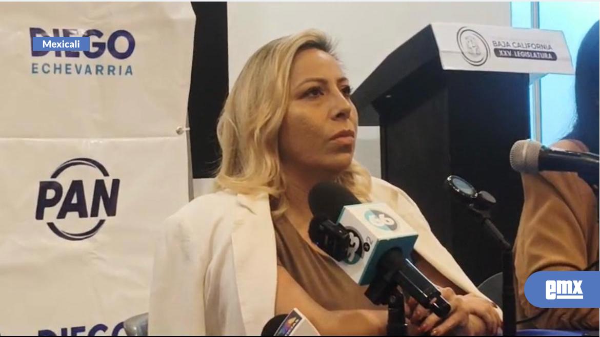 EMX-En-el-PAN-no-habrá-candidatos-violentadores-de-mujeres:-PAN