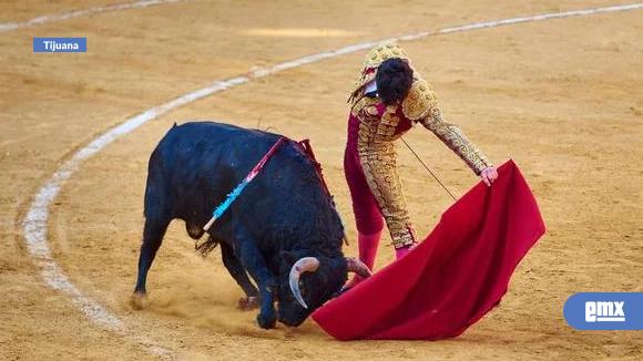 EMX-Analiza-Ayuntamiento-eliminar-reglamento-taurino