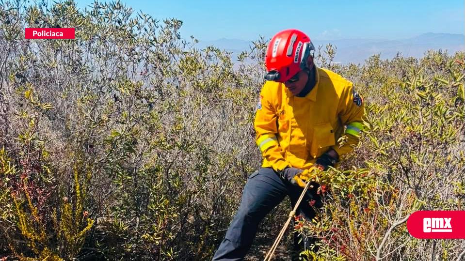 EMX-Localizan-sin-vida-a-joven-en-sendero-del-Cañón-Buena-Vista,-Ensenada