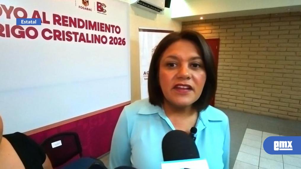EMX-Reciben-productores-apoyos-para-el-cultivo-de-trigo