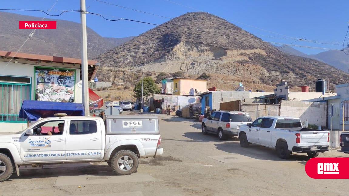 EMX-Localizan-perros-callejeros-restos-humanos-en-Ensenada