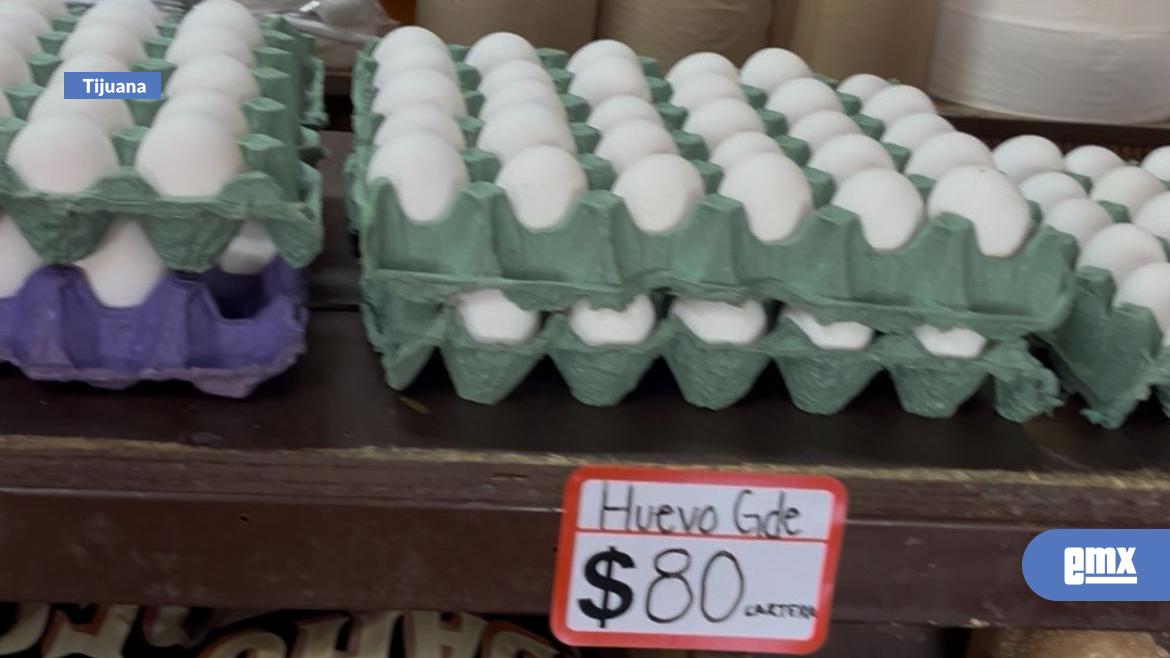 EMX-Cartera de huevo supera los 80 pesos en Tijuana