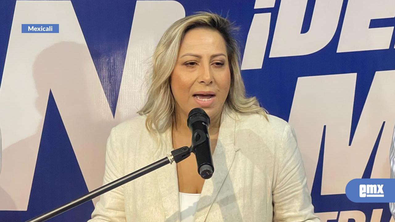 EMX-Van cinco aspirantes por la gubernatura en el PAN