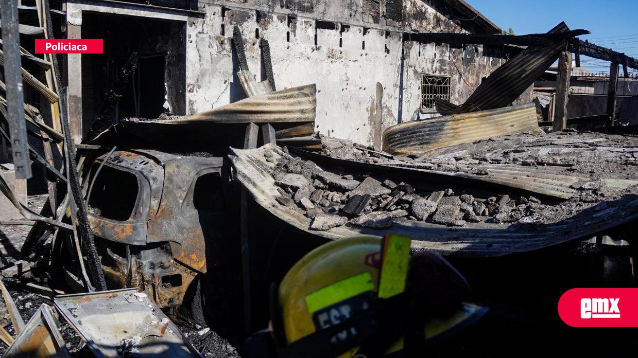 EMX-Mueren-tres-perros-en-incendio-de-vivienda-en-Mexicali;-rescatan-a-uno