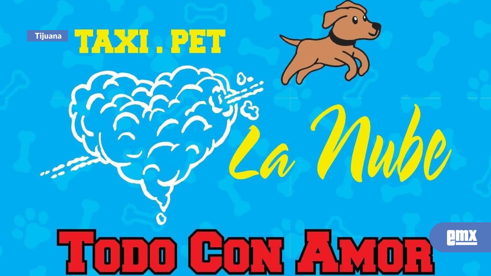 EMX-Albergue de Tijuana pide ayuda urgente: 70 perros necesitan agua