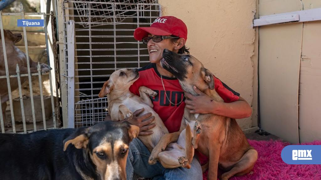 EMX-Siete años rescatando perros: Evangelina pide apoyo para mantener a salvo a 74 caninos