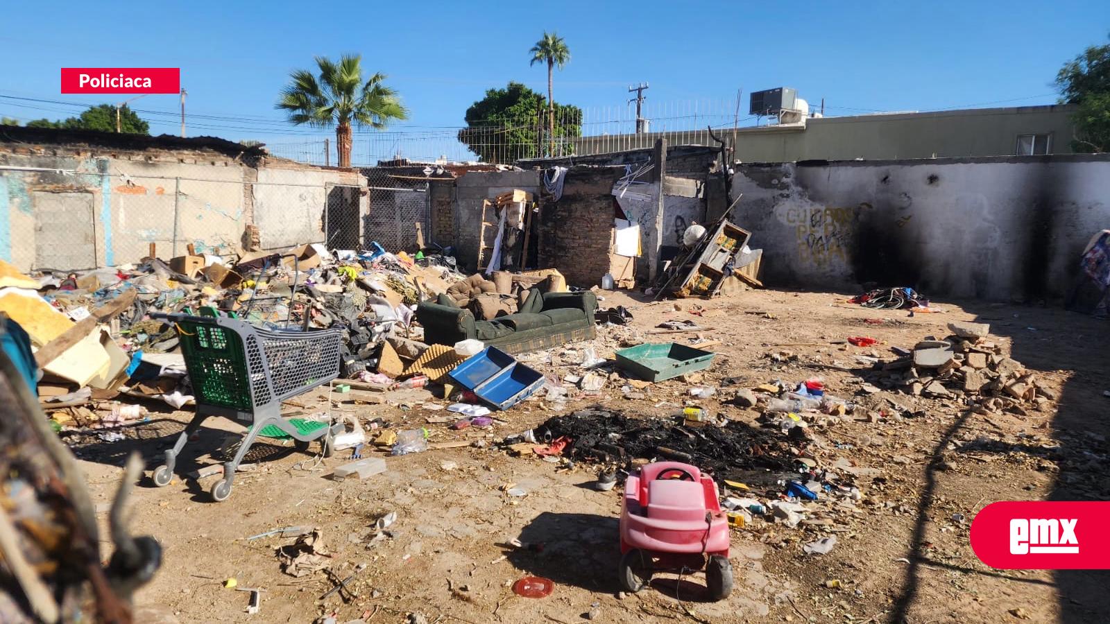 EMX-Detienen-a-178-cochinones-en-Mexicali