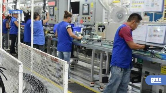 EMX-El-85%-de-empresas-de-TJ-aplican-IA-en-sus-procesos