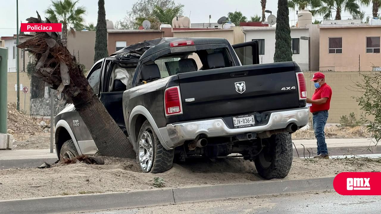 EMX-Conductor-pierde-el-control-y-derriba-palmera-en-la-Vía-Rápida-Poniente