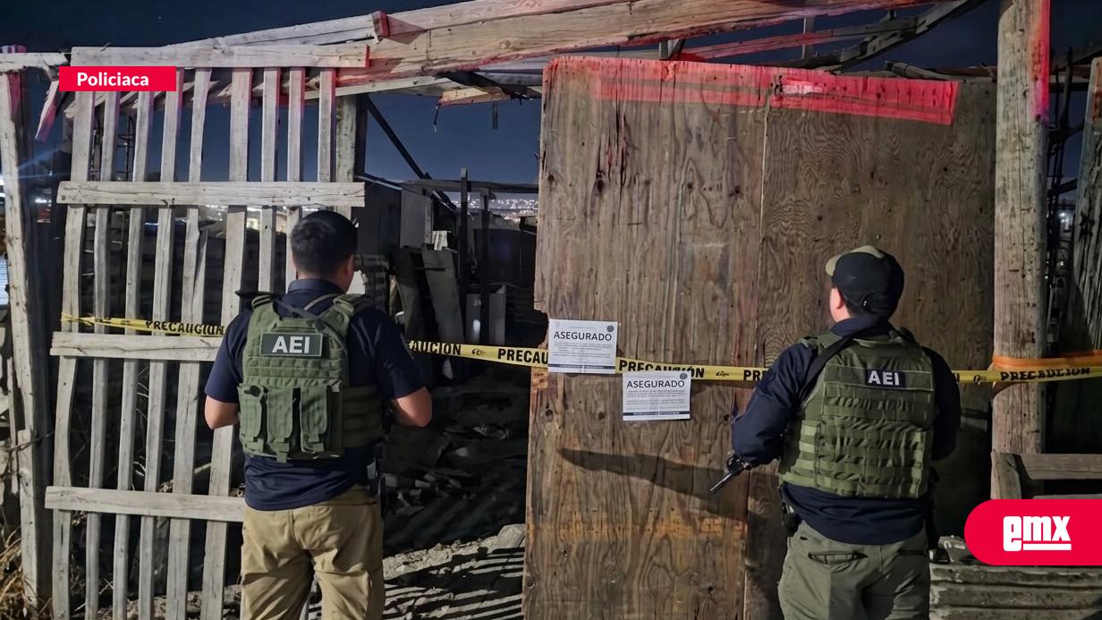 EMX-Recuperan-9-vehículos-robados-entre-Tijuana-y-EU