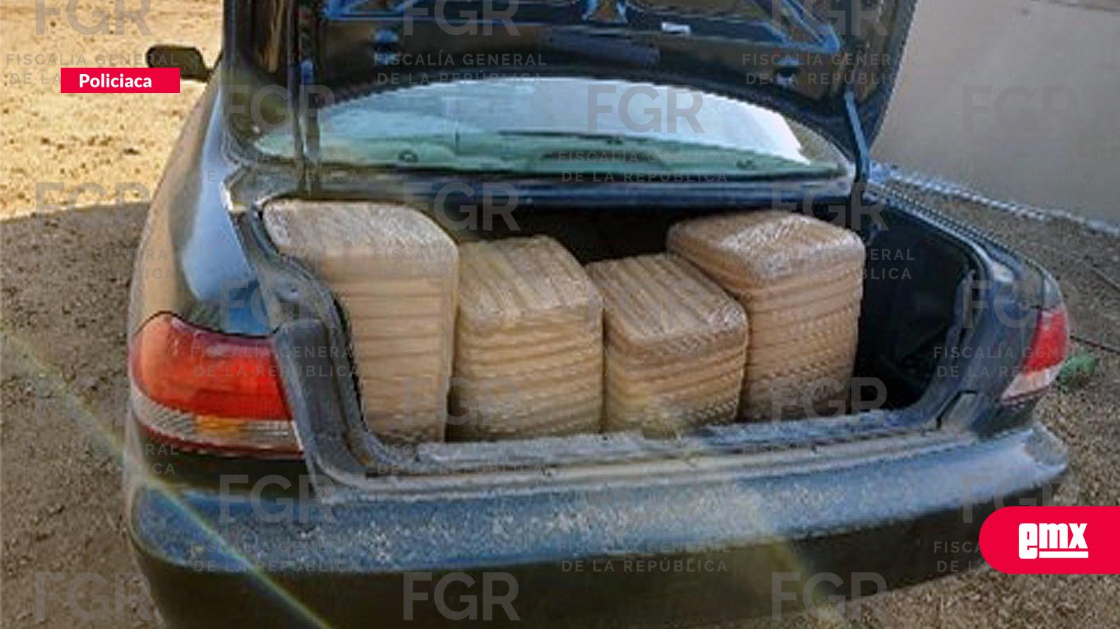 EMX-Asegura-FGR-400-kilos-de-marihuana-durante-cateo-en-Ensenada