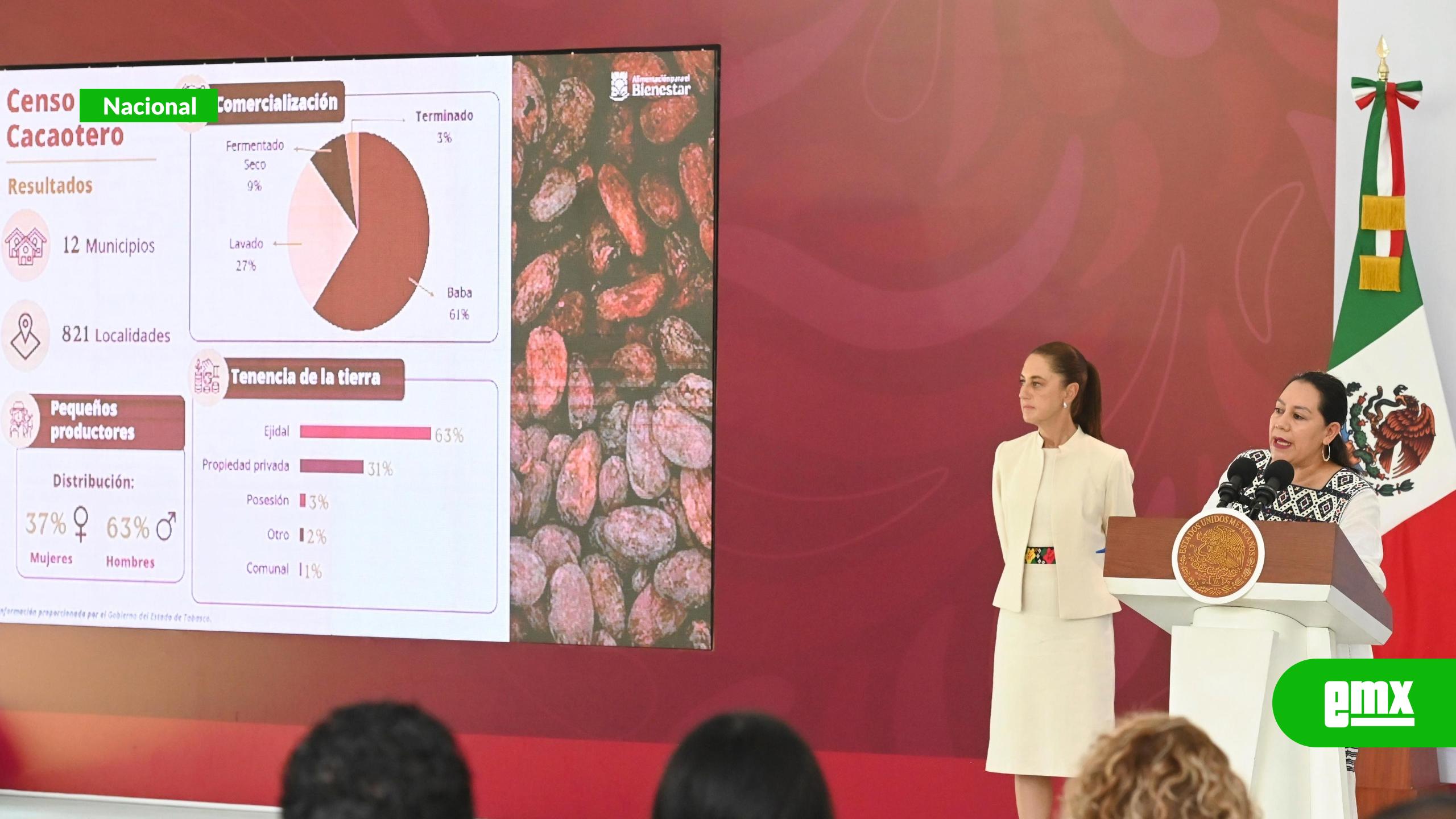 EMX-Tabasco-proyecta-producir-10-mil-toneladas-de-cacao-en-el-próximo-ciclo
