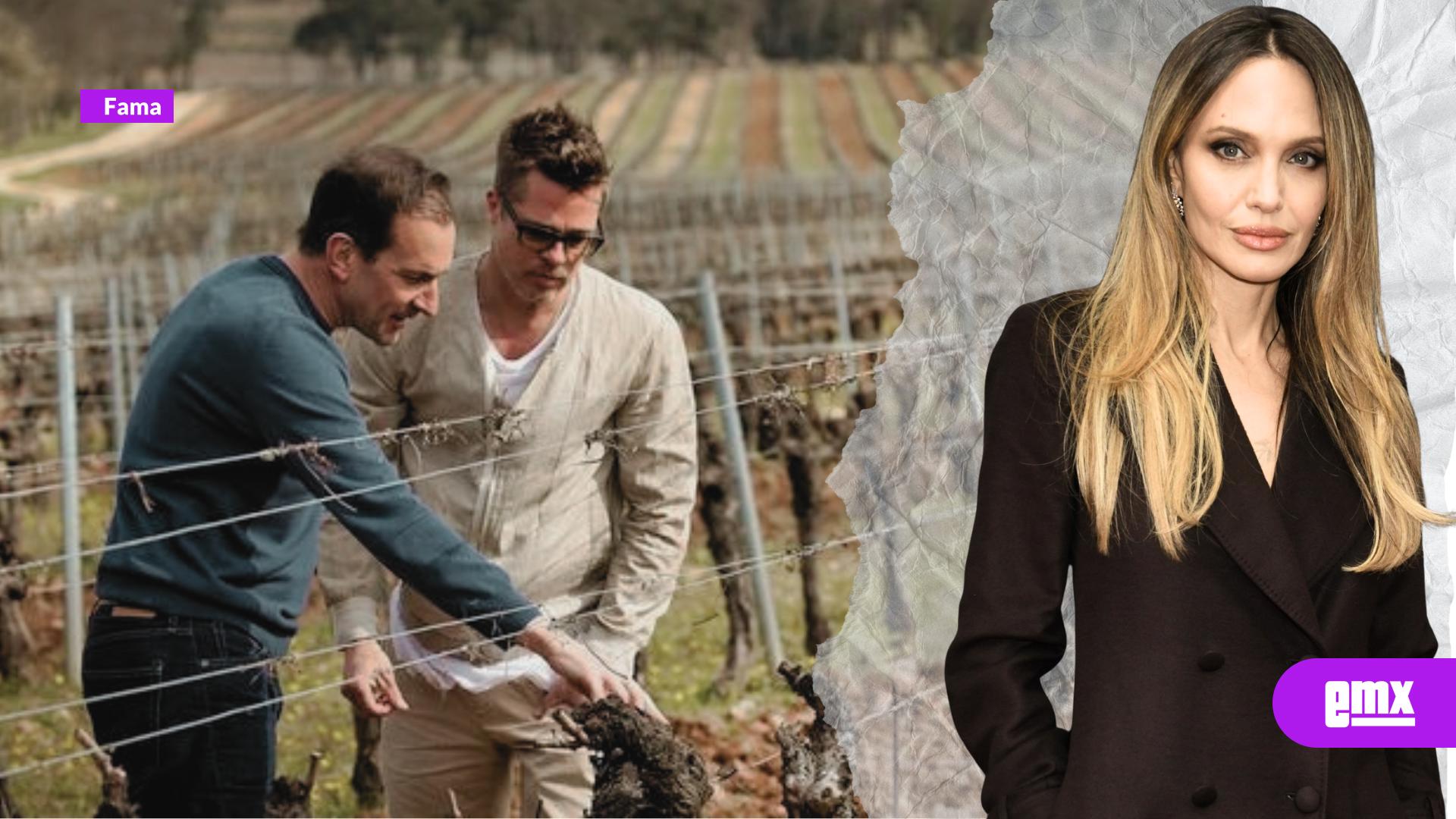 EMX-Brad-Pitt-y-Angelina-Jolie-enfrentan-nueva-disputa-legal-por-Château-Miraval